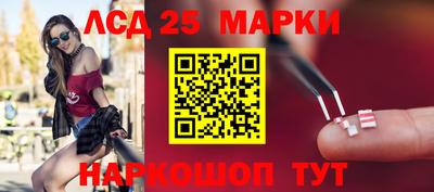 шишки Лесосибирск