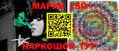шишки Лесосибирск