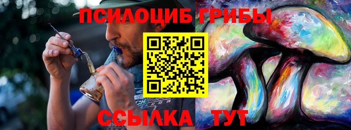 Псилоцибиновые грибы мицелий Златоуст