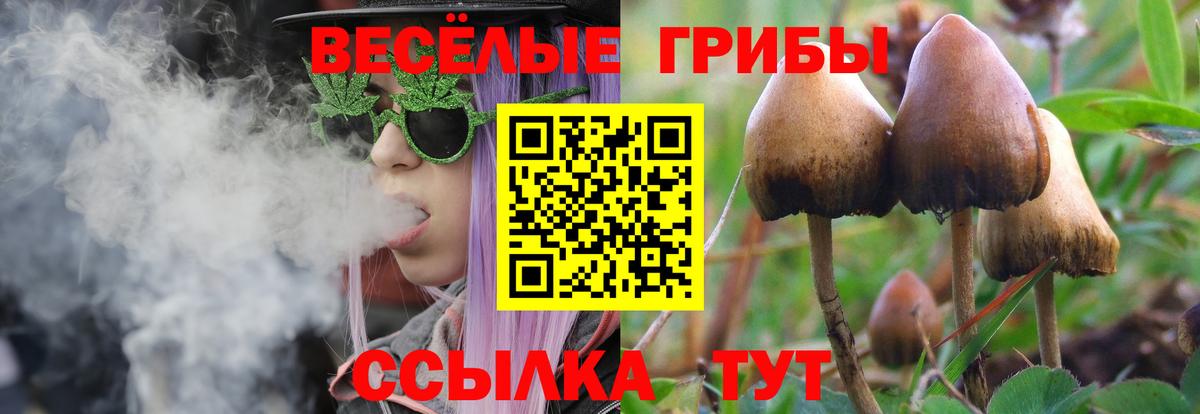 Псилоцибиновые грибы GOLDEN TEACHER  Вход с VPN  Златоуст  Псилоцибиновые грибы Psilocybine cubensis 