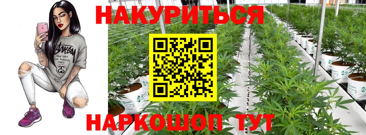 Златоуст  Каннабис марихуана  Каннабис план  Марихуана White Widow  Вход с VPN 
